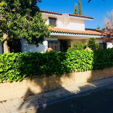 Villa Ferrer Sevilla Ginés 외부 사진