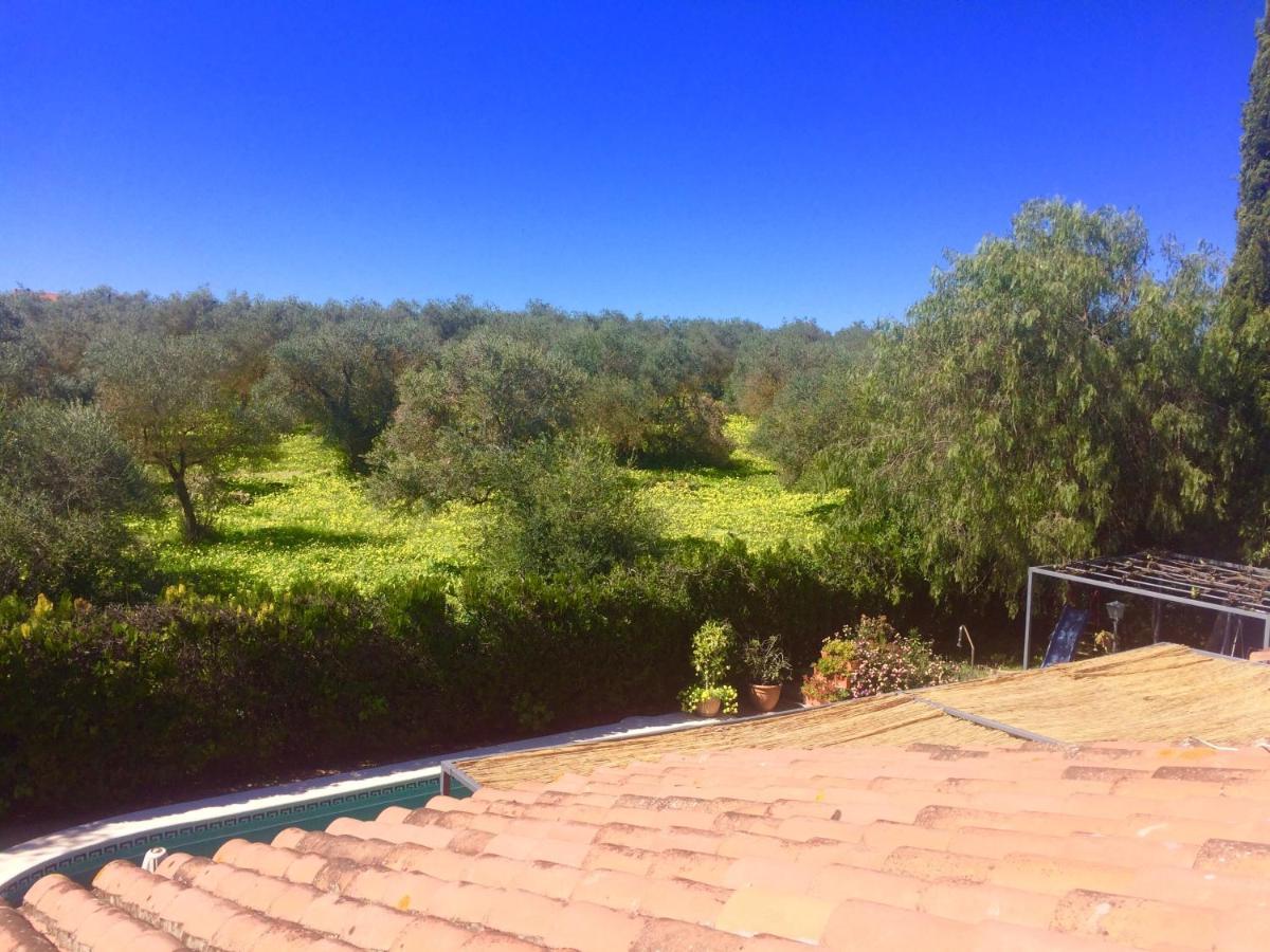 Villa Ferrer Sevilla Ginés 외부 사진