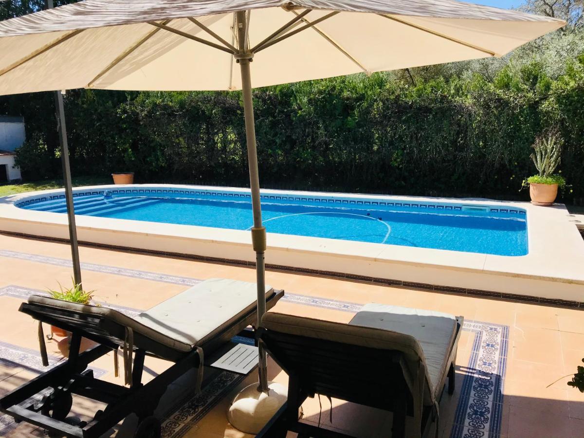 Villa Ferrer Sevilla Ginés 외부 사진