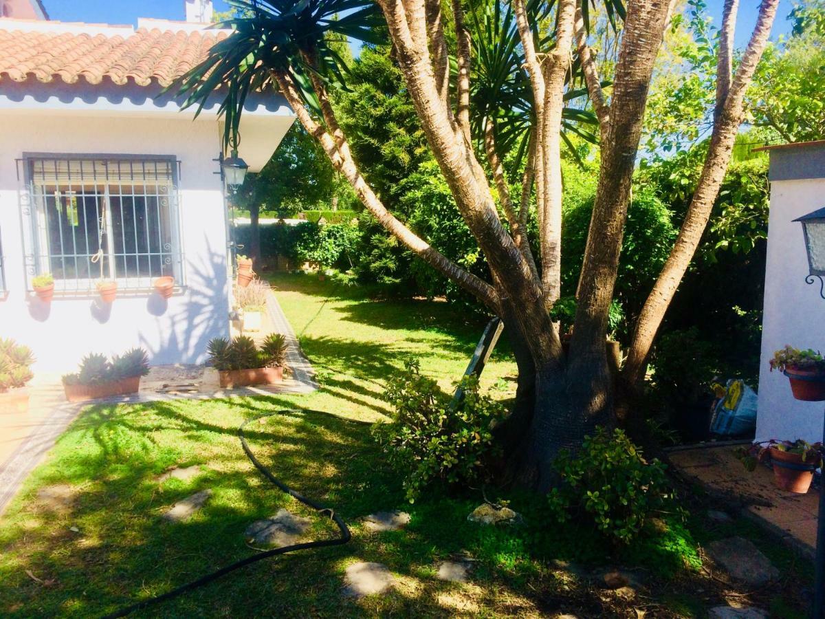 Villa Ferrer Sevilla Ginés 외부 사진