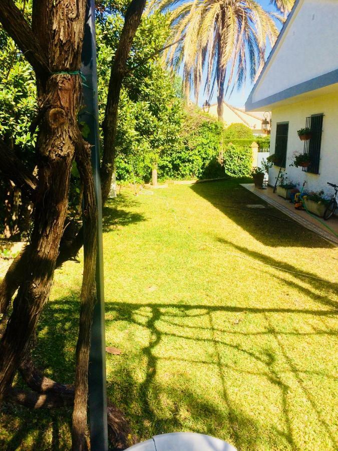 Villa Ferrer Sevilla Ginés 외부 사진