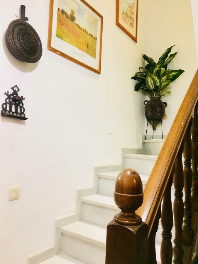 Villa Ferrer Sevilla Ginés 외부 사진