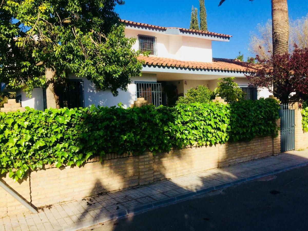 Villa Ferrer Sevilla Ginés 외부 사진