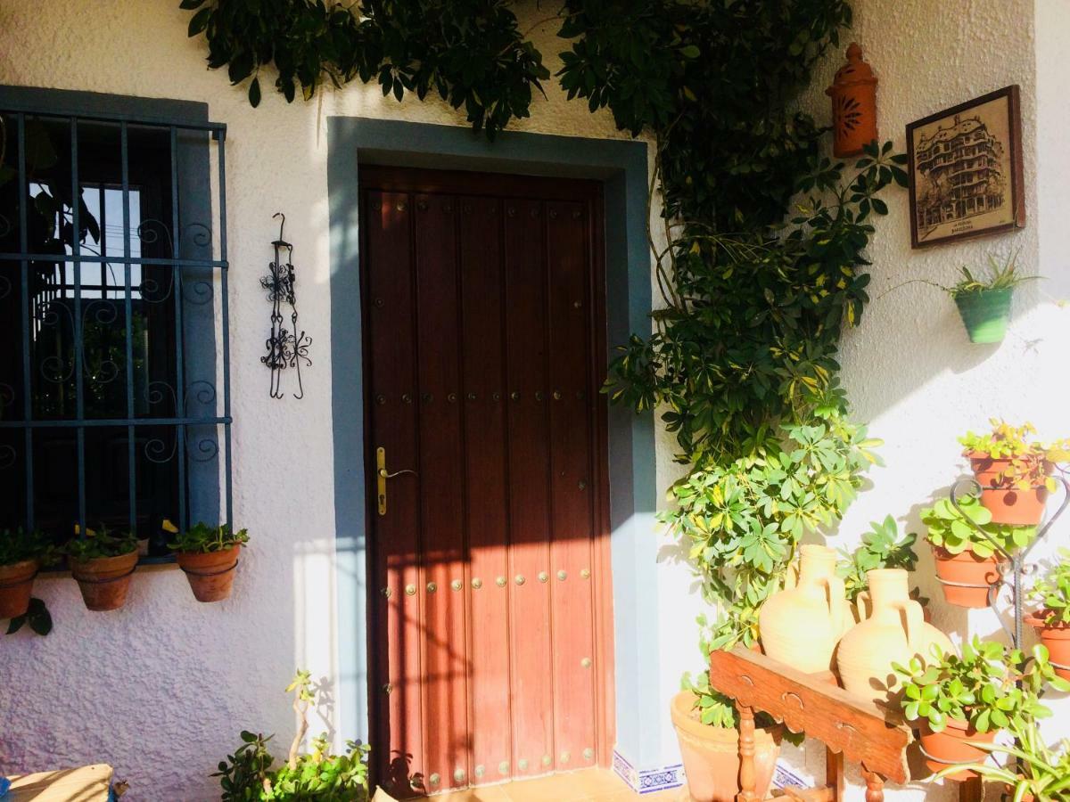 Villa Ferrer Sevilla Ginés 외부 사진
